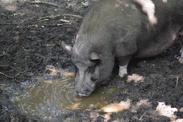 竞博体育jbo中国官方网站